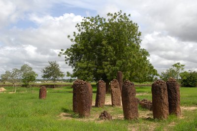 Prehistory: Megalithic circle of stones from Wassu, Gambia (photo) بواسطة عصور ما قبل التاريخ
