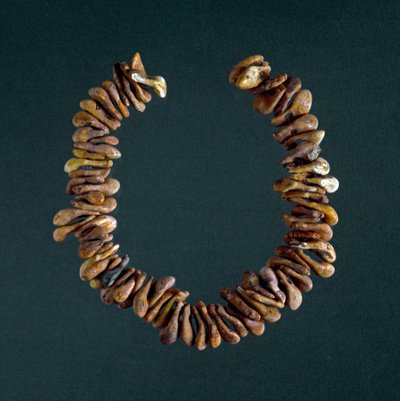 عصور ما قبل التاريخ ، العصر الحجري: عقد من العظام من كهف بوليسين ، فينيتو. روما ، المتحف الوطني لويجي بيجوريني للإثنوغرافيا عصور ما قبل التاريخ بواسطة عصور ما قبل التاريخ