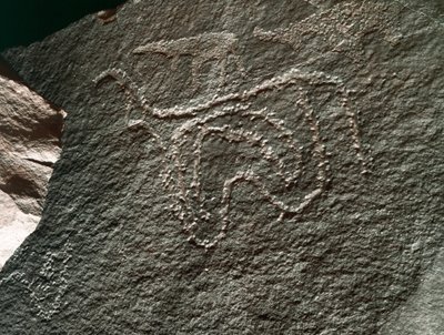 عصور ما قبل التاريخ ، الفن الصخري: صخرة خطيرة لتمثيل الماشية. أسلوب تازينا. العصر الحجري 5000-2000 ق. تاغيت ، هضبة الحقار العليا ، الجزائر بواسطة عصور ما قبل التاريخ