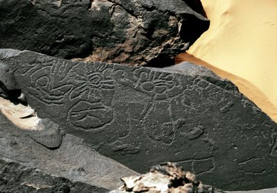 Prehistory, rock art: grave rock of forms in the style of Tazina. Stone Age 5000-2000 BC. Taghit, Haut plateau du Hoggar (Ahaggar), Algeria بواسطة عصور ما قبل التاريخ