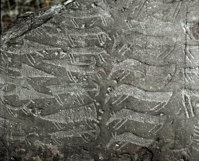 Prehistory, rock art: grave rock of representations of daggers, oxen. Copper age. Eneolithic period (chalcolithic). Roche n. 1. Cemmo (Brescia) Parco archeologico nazionale dei Massi di Cemmo, Italy بواسطة عصور ما قبل التاريخ