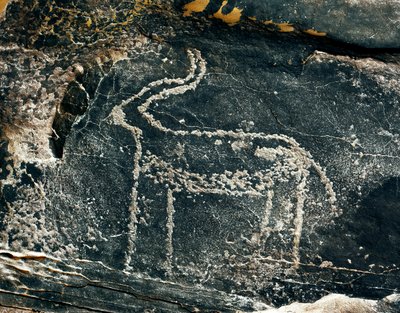 Prehistory, rock art: grave rock of the representation of an antelope. Stone Age 5000-2000 BC. Taghit, Haut plateau du Hoggar (Ahaggar), Algeria بواسطة عصور ما قبل التاريخ
