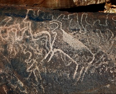 عصور ما قبل التاريخ ، الفن الصخري: صخرة قبر لتمثيل الماشية. أسلوب تازينا. العصر الحجري 5000-2000 ق. تاغيت ، هضبة الحقار العليا ، الجزائر بواسطة عصور ما قبل التاريخ