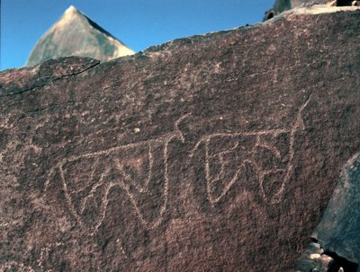 عصور ما قبل التاريخ ، الفن الصخري: صخرة قبر لتمثيل الماشية. أسلوب تازينا. العصر الحجري 5000-2000 ق. تاغيت ، هضبة الحقار العليا ، الجزائر بواسطة عصور ما قبل التاريخ