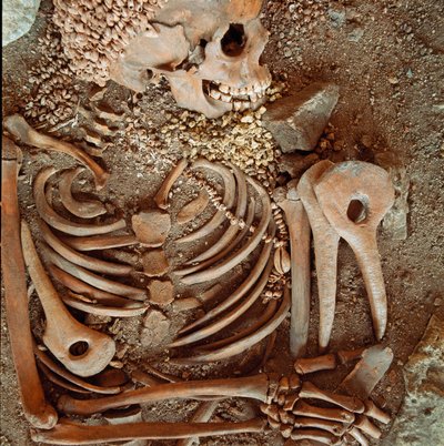 عصور ما قبل التاريخ: قال الهيكل العظمي والجهاز الجنائزي للمراهقين عن الأمير الشاب من كهف Arene Candide (Finale Ligure): عقد من الأصداف وقرن الغزلان والصوان. العصر الحجري ، العصر الحجري القديم الأعلى. الجينات ، Museo di archeologia Ligure بواسطة عصور ما قبل التاريخ