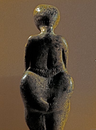 عصور ما قبل التاريخ: تمثال لامرأة Gravettian من موقع Kostenki (فورونيج أوبلاست). 30000-25000 ق.م. العصر الحجري القديم الأعلى ، العصر الحجري. سانت بطرسبرغ ، متحف بيتر العظيم للأنثروبولوجيا والإثنوغرافيا ، روسيا بواسطة عصور ما قبل التاريخ