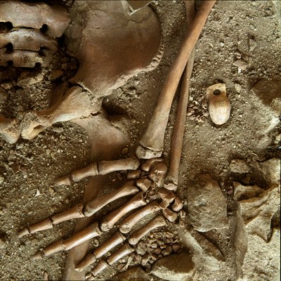 Prehistory: teenage sepulture. Detail view of the funeral trousseau from the cave of Candid Arene (Finale Ligure), Liguria. Upper Paleolithic, 24000 BC. Genes, museo di archeologia ligure بواسطة عصور ما قبل التاريخ