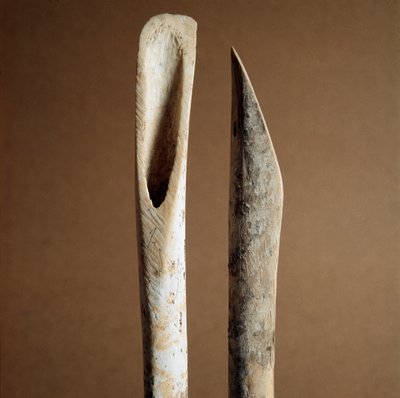 Prehistory: tools to remove bark from shin bones of goat and sheep from the Necropole of Arene Candide (Finale Liguria), Liguria. Middle Neolithic, Stone Age. Genes, museo di archeologia ligure بواسطة عصور ما قبل التاريخ