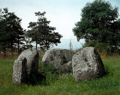 Prehistory: view of the dolmen of Chianca with its entrance corridor. Stone Age, Neolithic. 6th-3rd century BC. Bisceglie, Puglia, Italy بواسطة عصور ما قبل التاريخ