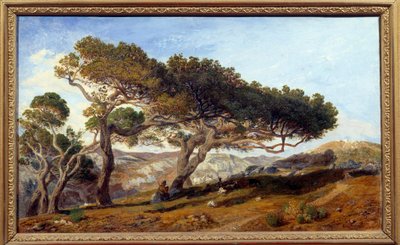 أشجار الصنوبر في ريف Aix en provence Maquis في جنوب فرنسا. اللوحة التي رسمها بروسبر جوزيف جريسي (1804-1874) إيكس أون بروفانس من القرن التاسع عشر ، متحف جرانيت - أشجار الصنوبر في الريف حول إيكس إن بروفانس. المناظر الطبيعية من Maquis في بواسطة ازدهار جوزيف جريسي