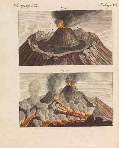 موسوعة الأطفال المصورة للكتاب المصور للأطفال بقلم فريدريش يوهان جاستن بيرتوش ، 1798-1830. بواسطة تلاميذ مدرسة الرسم الحرة الأميرية فايمار.