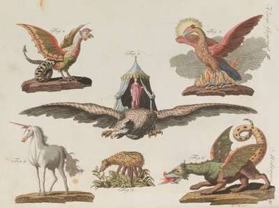 موسوعة الأطفال المصورة للكتاب المصور للأطفال بقلم فريدريش يوهان جاستن بيرتش ، 1798-1830. بواسطة تلاميذ مدرسة الرسم الحرة الأميرية فايمار.