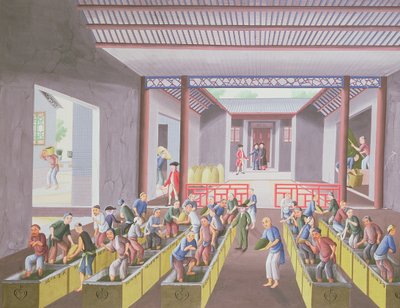 صنع الشاي ، من ألبوم يحتوي على 23 لوحة ، 1790 ج (لون على ورق) بواسطة اسرة تشينغ الصينية