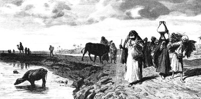 شوسي في الدلتا ، وقت الطوفان ، 1880 بواسطة ر. براندامور