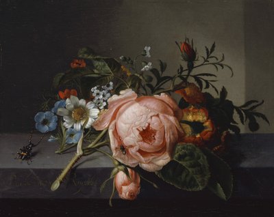 Still Life with Rose Branch، Beetle and Bee، 1741 (زيت على قماش مركب على خشب البلوط) بواسطة Rachel Ruysch