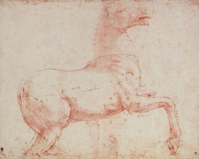 دراسة الحصان الرخامي في Quirinal (الطباشير الأحمر على الورق) بواسطة رافايللو سانزيو رافائيل