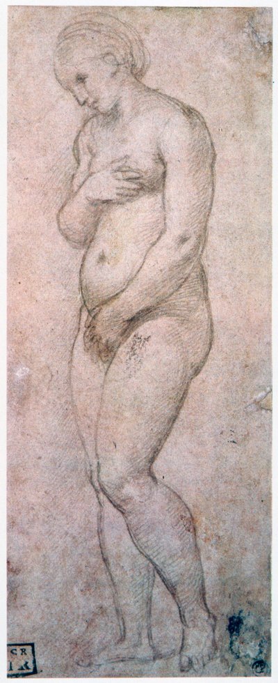 دراسة فينوس ، c1500-1520 بواسطة رافايللو سانزيو رافائيل