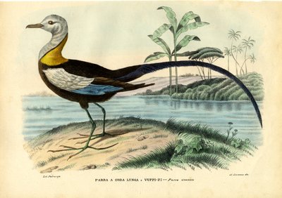 جاكانا الصينية ، 1863-1879 بواسطة رايموندو بيترارويا