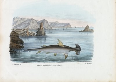 هامرهيد ، 1863-1879 بواسطة رايموندو بيترارويا