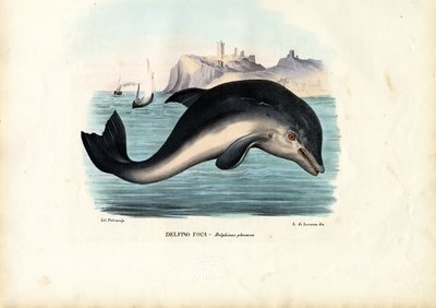 ميناء بوربواز ، 1863-1879 بواسطة رايموندو بيترارويا