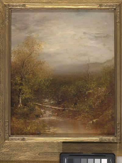 Pool In The Adirondacks (زيت على قماش) بواسطة رالف ألبرت بلاكيلوك