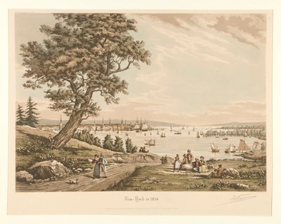 نيويورك عام 1834 بواسطة راؤول فارين