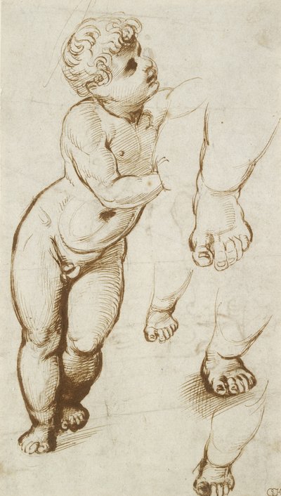The Infant Christ and other Studies (pen and dark-brown ink over preliminary indications in leadpoint, on white paper) بواسطة رافائيل