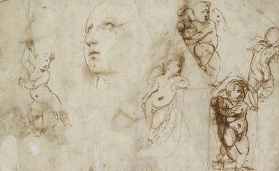 Various Studies, chiefly for the Borghese-Beckford St Catherine (pen and brown ink on off-white paper) بواسطة رافائيل