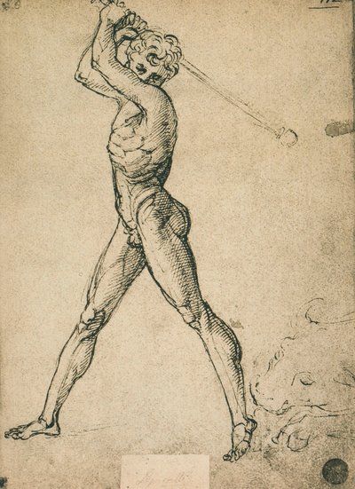هرقل يقتل الثور. رسم رافائيل. غاليري ديل أكاديميسيا ، البندقية بواسطة رافايللو سانزيو رافائيل