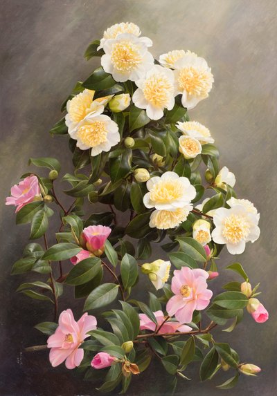 الحورية الصفراء والخشبية لهيئة المحلفين بواسطة ريموند بوث