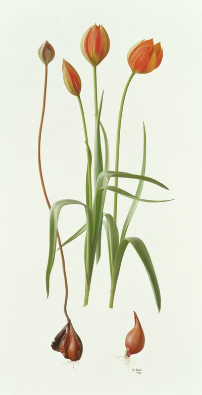 حريق في ويتال بواسطة ريموند بوث