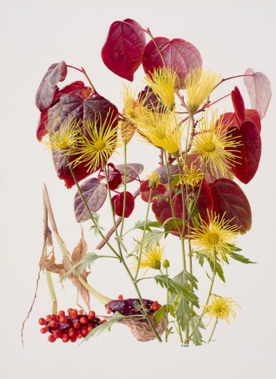 أوكون تاتشيبانا (زيت على ورق) بواسطة ريموند بوث