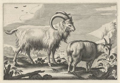 التلال المناظر الطبيعية مع اثنين من الماعز Diversa Animalia Quadrupedia (عنوان المسلسل) بواسطة يعقوب جيريتس كويب