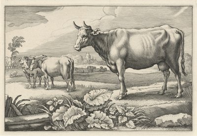 مرعى مع أبقار Diversa Animalia Quadrupedia (عنوان المسلسل) بواسطة يعقوب جيريتس كويب