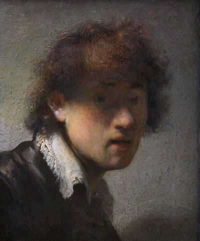 مطبوعات فنية بواسطة Rembrandt Van Rijn الصفحة 4