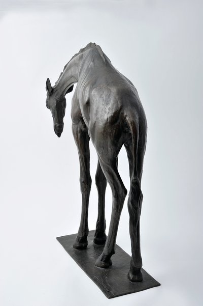 زرافة كبيرة برأس منخفض ، على غرار 1909-10 ، مصبوبة قبل عام 1913 (برونزية) (انظر أيضًا 3084917-43) بواسطة رامبرانت بوجاتي