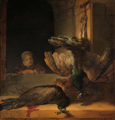 الحياة الساكنة مع الطاووس ، ج .1639 بواسطة رامبرانت فان راين