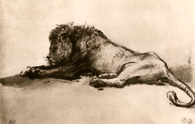 دراسة أسد ، 1913. بواسطة رامبرانت فان راين