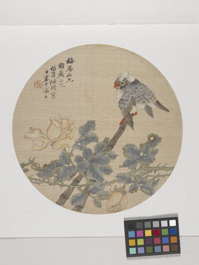 زهرة وعصفور (حبر وألوان على ورق) بواسطة رن يي (1840-96)