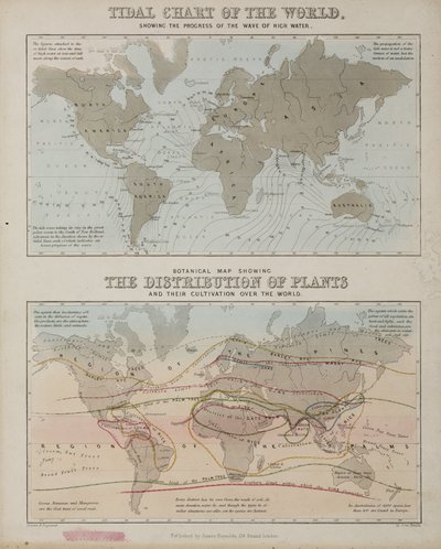 A tidal chart and a map of the distribution of plants across the world, c 1850 بواسطة ريتشارد (بعد) داد