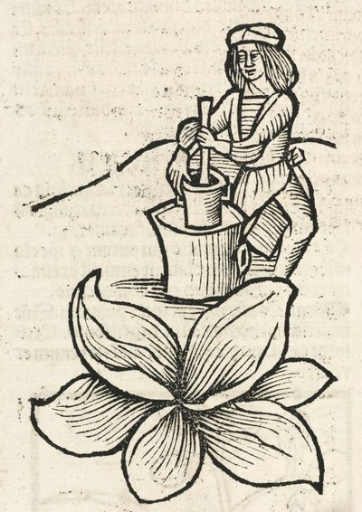 Medieval Man using a pestle and mortar to crush plants بواسطة ريتشارد (بعد) داد