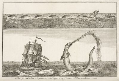 The great Sea Serpent, according to different Descriptions بواسطة ريتشارد (بعد) داد