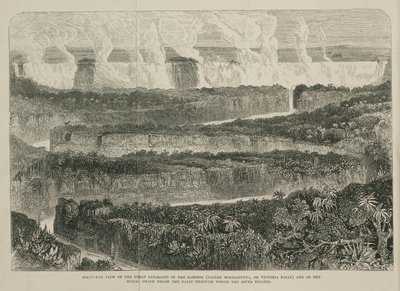 Victoria Falls, Africa, c 1855 بواسطة ريتشارد (بعد) داد