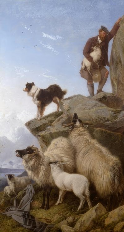 R.Ansdell ، الخراف الضالة - الرسم ، 1868 بواسطة ريتشارد انسديل
