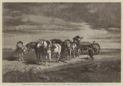 تحميل Sand-Pas de Calais ، الطقس المهدِّد ، من معرض الأكاديمية الملكية في العام الماضي بواسطة Richard Beavis