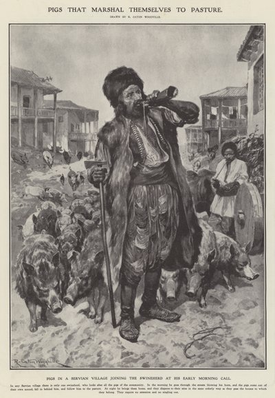 الخنازير التي تنظم نفسها إلى المراعي (ليثو) بواسطة ريتشارد كاتون الثاني (بعد) وودفيل
