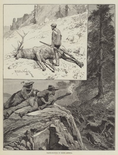 Wapiti-Hunting في أمريكا الشمالية (نقش) بواسطة ريتشارد كاتون الثاني (بعد) وودفيل