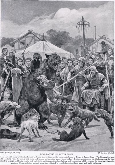 طعم الدب في العصر السكسوني ، من "قصة هاتشيسون للأمة البريطانية" ، ص 1920 بواسطة ريتشارد كاتون وودفيل
