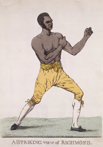 منظر مدهش لريتشموند ، نشر عام 1810 (النقش الملون) بواسطة ريتشارد دايتون