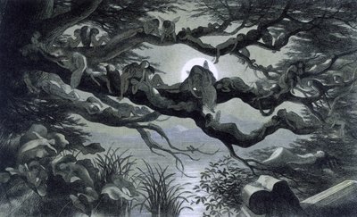 الجنيات والحوريات والجان يستريحون في ضوء القمر على فرع؟ رسم توضيحي لـ "" في Fairyland. سلسلة من الصور من عالم الجان بقلم ريتشارد دويل 1869-1870 مرجع مؤسسة المكتبة البريطانية: معرف علامة الرف: 1876 e18 